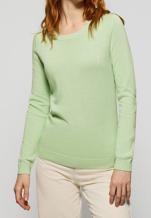 Vrouw draagt een lichtgroene trui met lange mouwen en beige broek, staand tegen een effen achtergrond.