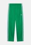 FIREBIRD UNISEX - Tracksuit bottoms - green