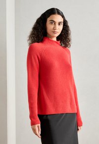 Roter Strickpullover mit hohem Kragen, langen Ärmeln und gerippter Textur, getragen mit einem schwarzen Rock, vor einem neutralen Hintergrund.