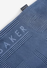 Textile with blue striped design and geometric patterns, featuring the word "BAKER" in a bold font and a fabric label on top.