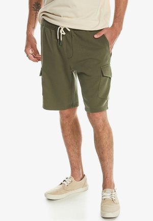 Quiksilver Tracksuit bottoms - gph