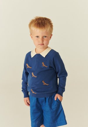 Blond dreng stående med hånd i lommen iført blå sweater med broderede fugle og hvid krave, kombineret med blå shorts.
