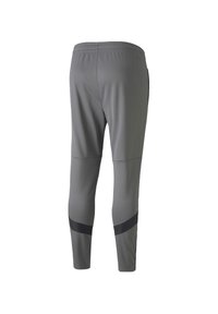 Puma Träningsbyxor - grey
