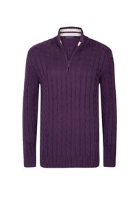 CABLE HALF ZIP - Trui - purple