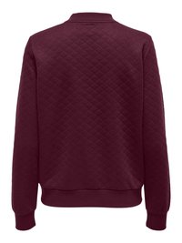 ONLY ONLJOYCE L/S BOMBER SWT NOOS - Sweat zippé - fig