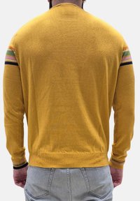 Pull en maille jaune à manches longues, avec des accents rayés en vert, rose et bleu sur les épaules et des poignets et ourlet côtelés.