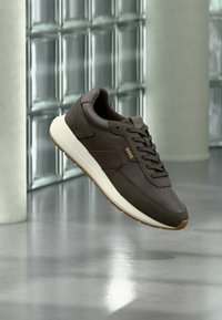 Избран, dark brown