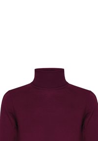 Dolcevita bordeaux in tessuto elasticizzato, con design aderente e collo a coste. Texture liscia con maniche lunghe.