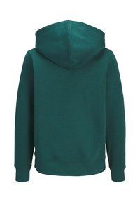 Felpa con cappuccio verde scuro a maniche lunghe, con cappuccio e polsini e orlo a coste, mostrata da dietro su sfondo bianco.