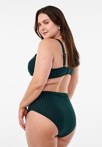 Žalias laukelių raštas bikinis su tekstūruotu audiniu. Viršus turi reguliuojamas petnešas ir užsegimą nugaros pusėje. Aukšto liemens kelnaitės su atitinkančiu raštu.
