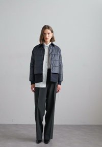 ASPESI JAYLA - Giacca da mezza stagione - navy