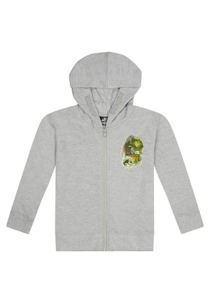 PAW PATROL Kapuzenjacke Für Kinder - Grauer Hoodie Mit Reißverschluss