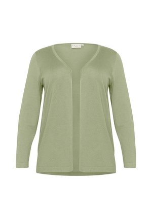 Light green cardigan with long sleeves, open front, and a simple design. Soft texture, smooth material, and no visible patterns or embellishments.