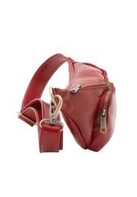 Borsa a tracolla rossa in pelle con una texture liscia, dotata di due scomparti con cerniera e un accento in hardware dorato sulla tracolla.
