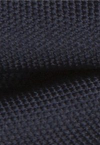 Seidensticker BOW TIE - Noeud papillon - blue