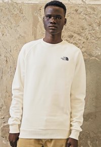 The North Face RAGLAN CREW - Felpa - gardenia white