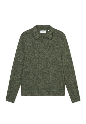 Green knit pullover with a collared neckline, long sleeves, and a textured pattern. Features a two-button placket and subtle branding.