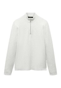 Hellegrauer Langarm-Pullover mit einem halben Reißverschluss am Kragen. Aus strukturiertem Stoff gefertigt, hat er einen geraden Schnitt und eine lockere Passform. Keine zusätzlichen Verzierungen.