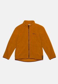 Jack Wolfskin ICELAND 3IN1 - Blouson - autumn leaves