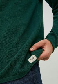 Jack & Jones JJEHILL CREW NECK  - Striktrøje - pine grove