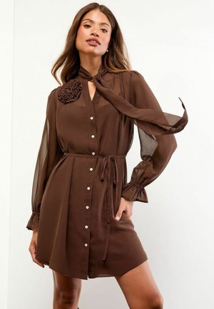 Brown dress made of light fabric featuring long, sheer sleeves, a tie neck detail, and a decorative flower accent, with button closure and waist belt.