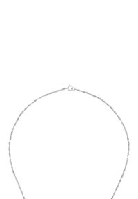 Collana in argento con catena attorcigliata, dotata di chiusura a moschettone. Il design presenta una superficie liscia con maglie uniformi.