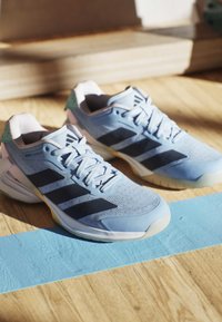 Ein Paar hellblaue Sportschuhe mit schwarzen Streifen auf einem Holzboden mit blauer Linie im Innenlicht.