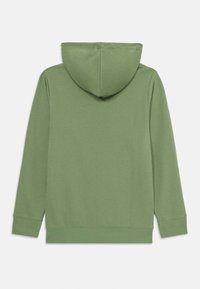 Sweat à capuche de couleur vert clair, présentant des poignets et un ourlet côtelés. Le tissu a une texture lisse et un design simple, sans ornements.