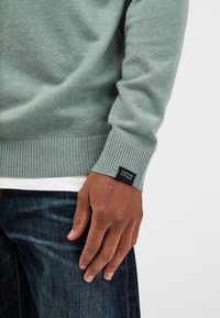 Grüner Strickpullover mit gerippten Bündchen und Saum, ausgestattet mit einem Logoetikett. Über einem weißen Hemd getragen und mit blauen Jeans kombiniert.