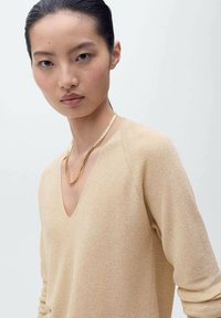 Beige gebreide trui met een V-hals en lange mouwen, gecombineerd met een gouden ketting. Glad oppervlak, minimaal ontwerp en subtiele glans.
