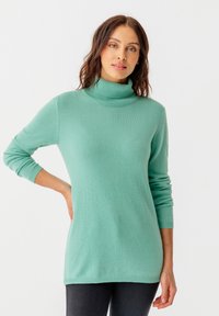 Damart COL ROULÉ  - Maglione - vert grisé