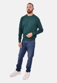 Grüner Rundhals-Pullover, weiches Strickmaterial, schmaler Schnitt. Getragen mit blauen Jeans und weißen Sneakern. Mit dem Markenzeichen auf der Brust verziert.