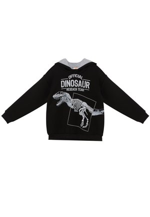 Schwarzer Hoodie mit grauem Kapuzenfutter, Dinosaurierskelett-Grafik und Text "Official Dinosaur Research Team" auf der Vorderseite.