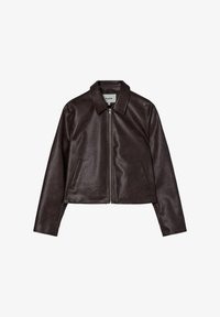 Geselecteerd, chocolate lab