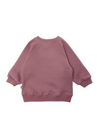 Light mauve sweatshirt with a round neck, raglan sleeves, ribbed cuffs and hem, soft texture, and no visible patterns or graphics.