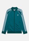 TRACK UNISEX - Sudadera con cremallera - legacy teal