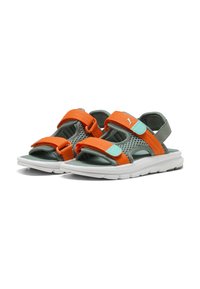Puma EVOLVE - Pārgājienu sandales - green moon orange glo aquatic