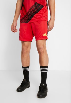 BELGIUM RBFA HOME SHORTS - Short de sport - red