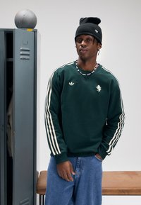 Sweatshirt verde com riscas brancas, apresentando um pequeno logótipo e emblema de leão, usado com um gorro preto e jeans azuis. Ambiente casual.