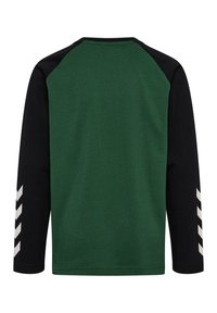 Langarmshirt mit dunkelgrünem Körper, schwarzen Raglanärmeln und weißen Chevrons auf dem linken Ärmel. Glattes, gestricktes Material.