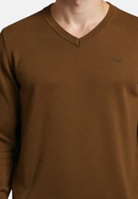 Maglione marrone a scollo a V realizzato in tessuto morbido, con maniche lunghe e un sottile logo ricamato sul petto in verde.