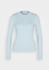 Světle modrý žebrovaný svetr s dlouhým rukávem a klasickým výstřihem, v slim fit střihu, se svislými pruhy a jemnou texturou. Bez viditelných kovových prvků nebo akcentů.