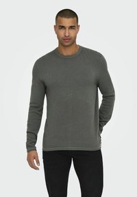 Grijze gebreide sweatshirt met lange mouwen, ronde halslijn, ribgebreide manchetten en zoom. Gemaakt in combinatie met zwarte broek, met zichtbare textuur in de stof.