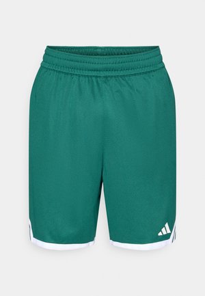 Zaļas sporta šorti no elpojoša sieta auduma. Aprīkoti ar elastīgu vidukļa jostu un baltām akcentēm apakšmalā ar Adidas logotipu.