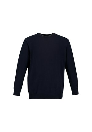 Námořnická modrá svetr, pletená látka, kulatý výstřih, dlouhé rukávy, žebrované manžety a lem, hladká textura, zadní pohled bez viditelných ozdob.