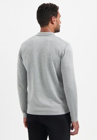 Lichtgrijze lange mouwen trui met een kraag, gemaakt van zacht materiaal. Bevat een comfortabele pasvorm en ribgebreide manchetten en zoom.