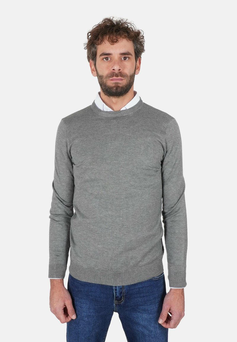 Maglione grigio in un tessuto morbido a maglia, design con collo rotondo, polsini e orlo a costine, abbinato a jeans blu. Silhouette semplice e aderente.