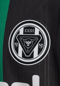 Schwarzer und grüner, vertikal gestreifter Stoff mit einem runden Abzeichen, das eine Biene, die römische Zahl XXIII und zwei kleine Schilde zeigt.