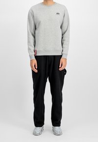 Grauer Pullover mit gerippten Bündchen, Logo auf der Brust, kombiniert mit schwarzen Cargo-Hosen und grauen Sportschuhen mit strukturiertem Muster.