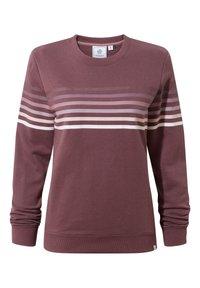 Mauve long-sleeve crewneck sweatshirt with horizontal stripes in varying shades across chest and sleeves, ribbed cuffs and hem.